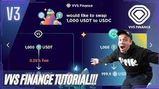 VVS Finance Tutorial  How to Use VVS Finance V3 [upl. by Ycnaf]