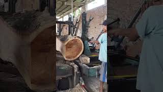 WOOD SPLIT 20 CM THICKNESS shorts youtube america trendingvideo motivation [upl. by Elish]