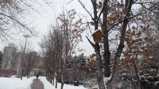 Winter in Hacettepe University [upl. by Yelnet]