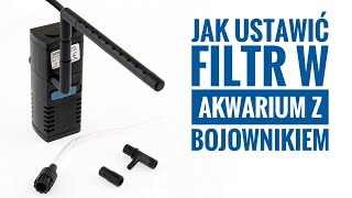 Jak ustawić filtr w akwarium z bojownikiem 💨 [upl. by Iat]