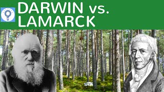 Darwin vs Lamarck  Evolutionstheorie von Lamarck und Darwin im Vergleich  Evolution 8 [upl. by Philipson]