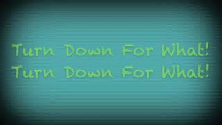 quotTurn Down For Whatquot Lyric Video [upl. by Pacheco]