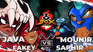 JavaFakey VS SaphirMounir  Winners Round 1  Brawlhalla World Championship 2024 [upl. by Tanny]