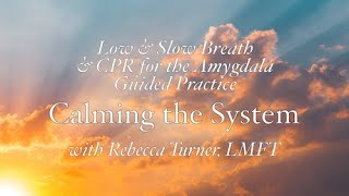 Low amp Slow Breath amp CPR for the Amygdala Practice – Calming the System with Rebecca Turner LMFT [upl. by Asyle819]