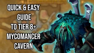 THE ULTIMATE GUIDE TO TIER 8 DELVES MYCOMANCER CAVERN GEAR BRANN BUILD amp MORE WAR WITHIN [upl. by Bil]