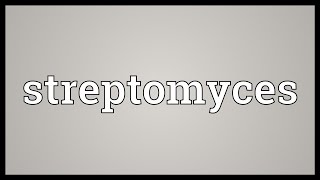 Streptomyces Meaning [upl. by Nesmat]