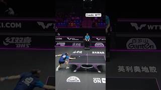 Best table tennis rally 💪🏓 pingpong tabletennis tenisdemesa [upl. by Dragde]