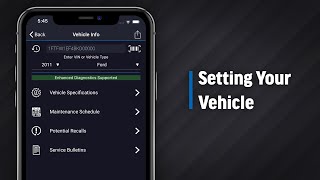 Setting Your Vehicle [upl. by Duffy]