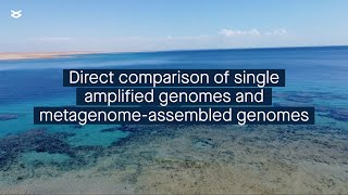 Strengths and weaknesses of the most common genome recovery approaches in environmental microbiology [upl. by Anaela]