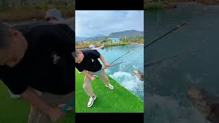 Amazing big fishing 🎣shorts fishing viralshorts [upl. by Cassil]