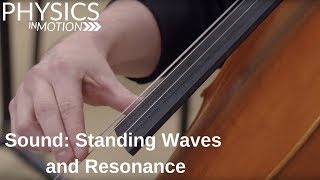 Sound Standing Waves and Resonance  Physics in Motion [upl. by Tronna]