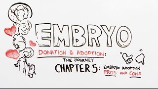 The Journey  Chapter 5 Embryo Adoption Pros and Cons  Embryo Donation amp Adoption [upl. by Ahseet]