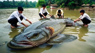 Agricultores chineses ganham milhões de dólares criando salamandras gigantes [upl. by Ecyarg]