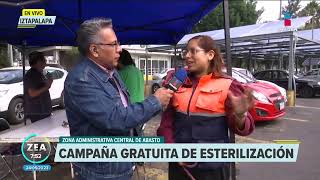 Inicia campaña de esterilización gratuita en la Central de Abasto CDMX  Noticias con Francisco Zea [upl. by Sekyere]