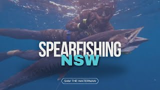 Spearfishing NSW  Big Fish  Dark Waters [upl. by Lamraj]