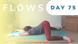 Day 7590  Flow into deep hip opening stretches for flexibility [upl. by Coppock238]