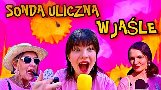 SONDA ULICZNA O GWIAZDACH POLSKIEJ SCENY MUZYCZNEJ W JAŚLE [upl. by Derrej]