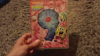 Spongebob Squarepants Season 9 amp Season 13 DVD Unboxing [upl. by Chatav189]