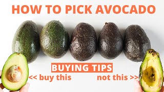 How to Pick Avocado  Tips for buying perfect avocados at the store [upl. by Arta920]