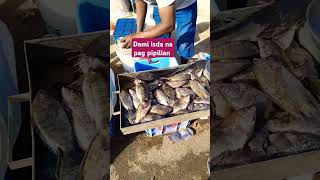 Dami isda na pag pipilian everyone fish [upl. by Raila]