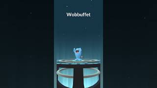 Evolve Wynaut To Wobbuffet pokemon pokemongo [upl. by Bodwell]