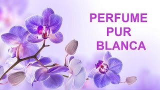 PERFUME  PUR BLANCA  AVON RESENHA [upl. by Latreshia190]