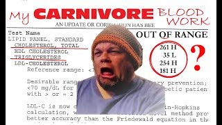 My Carnivore Blood Work and High ALT Liver Function Numbers [upl. by Bradly]