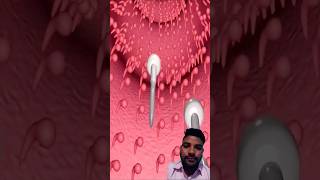 Fertilization process in 3D animation education shorts medicine ytshorts [upl. by Idihsar]