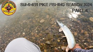 SUMMER PIKE FISHING SEASON 2024 PART 4 [upl. by Enoek140]