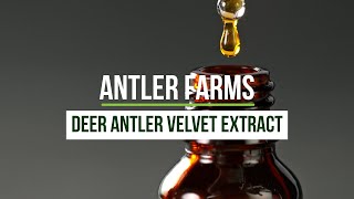 Antler Farms New Zealand Deer Antler Velvet Extract Liquid  Strength Endurance amp Recovery [upl. by Latsirk]