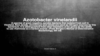 Medical vocabulary What does Azotobacter vinelandii mean [upl. by Perrin100]