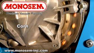 Corn in the Monosem® Precision Meter [upl. by Hirz]