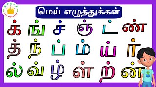 மெய் எழுத்துக்கள்Mei Eluthukkal Tamil Letters Tamilarasi [upl. by Gnivre576]