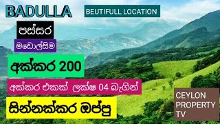 NO320  සින්නක්කර අක්කර 200 ක් අක්කර එකක් ලක්ෂ 04 බැගින් සුපිරි LOCATION අතරමැදියන් නොමැතිව [upl. by Anneliese]