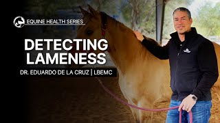 Detecting Lameness in Your Horse [upl. by Benjie]