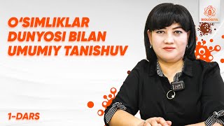 1dars  Osimliklar dunyosi bilan umumiy tanishuv  Onlayn biologiya [upl. by Mailliw]