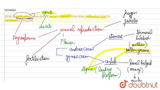 What is pollination How does it occur in plants How does pollination lead to fertilization  Expla [upl. by Ellard]