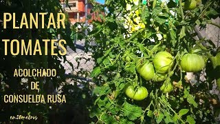 Cómo PLANTAR TOMATES en un HUERTO ECOLÓGICO así sin más 🤷🏻‍♂️🍅  en20metros [upl. by Ewald]