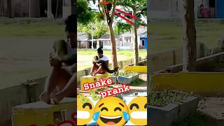 Snake prank 🐍🐍🐍 funny video 😂😂😂comedy prank funny [upl. by Ailasor]