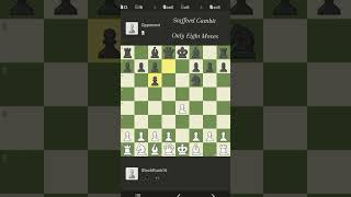 Stafford Gambit chess gambit [upl. by Ellednahc]