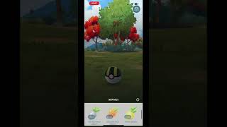 Shiny Pumpkaboo caught in pokemongo [upl. by Angelita]