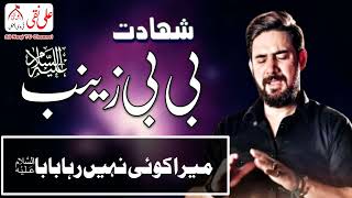 15 Rajab Shahadat Bibi Zainab sa  Noha By Farhan ali Waris [upl. by Leund361]