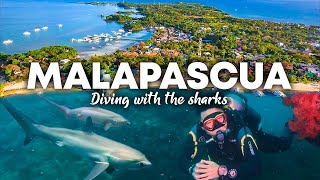 Diving in Malapascua Island in Cebu Home of The Thresher Sharks  Cebu Travel Vlog 2023 [upl. by Wentworth637]