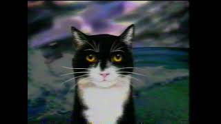 The Mousehole Cat 1994 Cartoon Film [upl. by Bega]