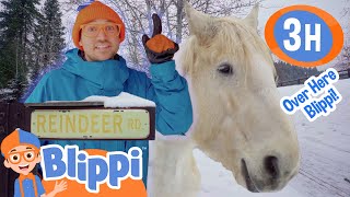 Blippi Goes To Reindeer Farm  Blippi and Meekah Best Friend Adventures  Holiday Videos for Kids [upl. by Affer772]