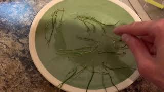 How to propagate Lilaeopsis brasiliensis micro sword [upl. by Ebaj]