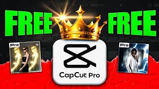 3 Simple Ways to Get CapCut Pro for FREE in 2024 [upl. by Yeniar]