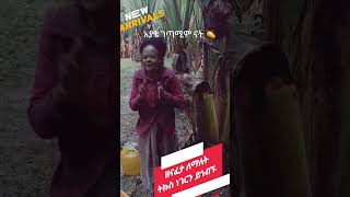 አቦ ጉራጌ አርጅቶም ይደሰታል በመስቀል በአል habesha [upl. by Knobloch]