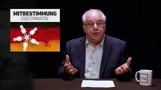 Richard Wolff on Codetermination Putting Workers on Board of Directors [upl. by Ennovyahs146]