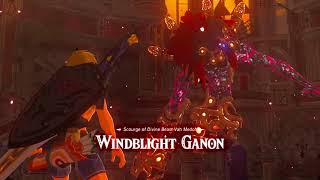 Windblight skip any BOTW [upl. by Lad]